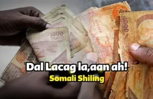 Lacagta Shilin Soomaaliga oo Isticmaalkeeda oo weli Laga Diiday Magaalada Muqdisho
