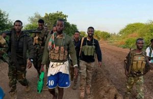 Horjooge ka tirsanaa Al-Shabaab oo isku soo dhiibay Ciidanka Xoogga Dalka