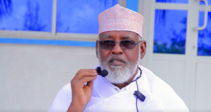 Axmed Madoobe oo si kulul u dhaliilay Madaxweynihii hore ee Soomaaliya Xasan Sheekh Maxamuud