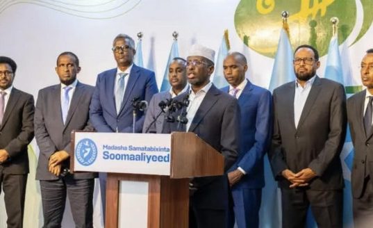 Mucaaradka Soomaaliya oo ku dhawaaqay bannaanbaxyo toddobaadle ah