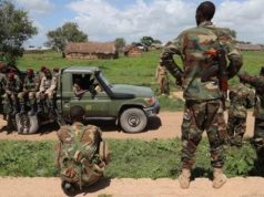 Ciidanka Xoogga oo Sheegay Inuu Dilay Laba Horjooge oo ka Tirsanaa Al-Shabaab kuna sugneyd Gobolka Shabeellaha Hoose