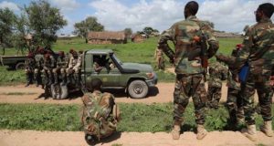 Ciidanka Xoogga oo Sheegay Inuu Dilay Laba Horjooge oo ka Tirsanaa Al-Shabaab kuna sugneyd Gobolka Shabeellaha Hoose