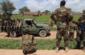 Ciidanka Xoogga oo Sheegay Inuu Dilay Laba Horjooge oo ka Tirsanaa Al-Shabaab kuna sugneyd Gobolka Shabeellaha Hoose