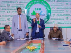 Golaha Deegaanka Hargeysa oo Doortay Maayir iyo Ku-xigeen Cusub