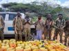 NISA oo gacanta ku dhigtay walxo kiimiko ah oo loo waday Al-Shabaab