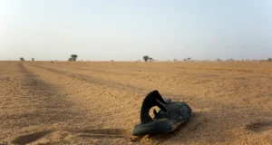 Tahriibayaal ku dhintay Saxaha Niger