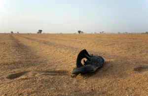 Tahriibayaal ku dhintay Saxaha Niger