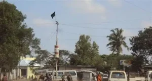Musharax Xildhibaan oo lagu dilay degmada Afgooye