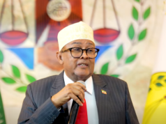 Madaxweyne Cirro: Israa’iil iyo Denmark oo Keliya Ayaa Ka Jawaabay Codsigii Aqoonsiga Somaliland