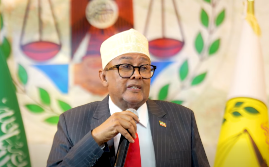 Madaxweyne Cirro: Israa’iil iyo Denmark oo Keliya Ayaa Ka Jawaabay Codsigii Aqoonsiga Somaliland