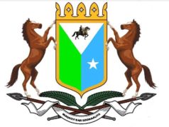 Deegaannada Maamulka Waqooyi Bari oo hubka sharci darrada ah laga mamnuucay