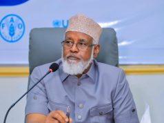 Axmed Madoobe: Dowladda Federaalka laguma aamini karo mas’uuliyadda Hawada