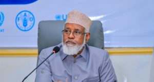Axmed Madoobe: Dowladda Federaalka laguma aamini karo mas’uuliyadda Hawada