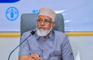 Axmed Madoobe: Dowladda Federaalka laguma aamini karo mas’uuliyadda Hawada