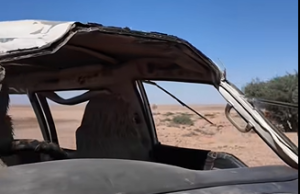 Dhimasho iyo dhaawac ka dhashay shil gaari oo ka dhacay gobolka Sanaag