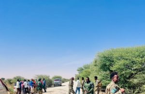 Booliiska Qardho oo sheegay in ay xirayaan Dadka ka ganacsada & kuwa isticmaalla Maandooriya