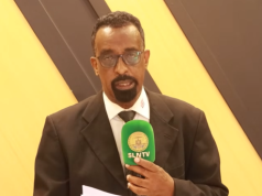 Somaliland oo joojisay hawlaha shaqo ee shirkad bixisa adeegyada dal-ku-galka Turkiga
