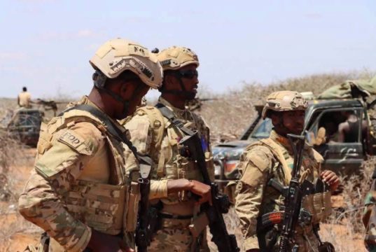 Ciidamada Danab iyo Daraawiishta Jubbaland oo howlgal ka fuliyay Jubbada Hoose