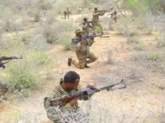 ICG: Dowladda iyo Al Shabaab midkoodna dagaalka guul kama gaarin