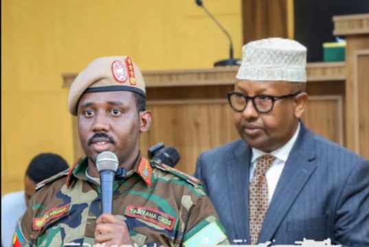 Naafada Ciidanka oo ka cabanaya hanjabaad la sheegay inay kala kulmeen Wasiirka Gaashaandhigga