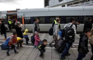 Soomaalida Sweden ku nool oo dib-u-celin wajahaya