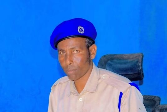 Dagaal ka dhacay Dibiyolay oo sababay dhimasho iyo dhaawac