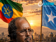 Wakaaladda Wararka Itoobiya oo dhaliishay mowqifka Xasan Sheekh ee xiriirka Soomaaliya iyo Itoobiya