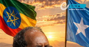 Wakaaladda Wararka Itoobiya oo dhaliishay mowqifka Xasan Sheekh ee xiriirka Soomaaliya iyo Itoobiya