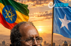 Wakaaladda Wararka Itoobiya oo dhaliishay mowqifka Xasan Sheekh ee xiriirka Soomaaliya iyo Itoobiya