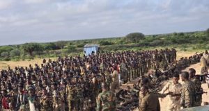 Dowladda Federaalka oo abaabul ciidan ka bilowday gobolka Bakool