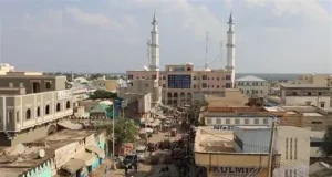 10 Oday Dhaqameed oo Lagu Xiray Baydhabo