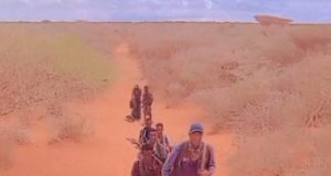 Ciidamada Deegaanka oo howlgallo ka sameeyay Mudug