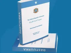 Warbaahinta Soomaaliya iyo baahinta tooska ah: Dastuurku muxuu ka qabaa, xaggee ayay xadka sharciyeed maraysaa?