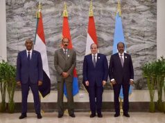 Soomaaliya, Masar, Eritrea iyo Suudaan oo heshiis ka gaaray arrimaha Badda Cas, Niil iyo midnimada dalalka
