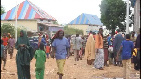 owdiinle