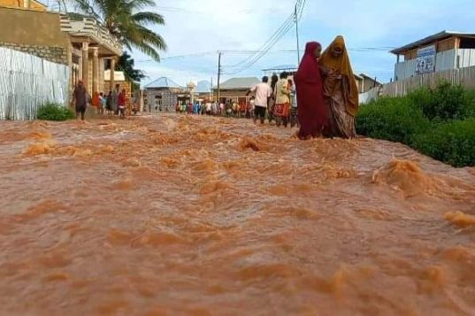 Qaramada Midoobay oo ka digtay in daadad laga cabsi qabo Soomaaliya ay barakicin karaan in ka badan 800,000 oo qof